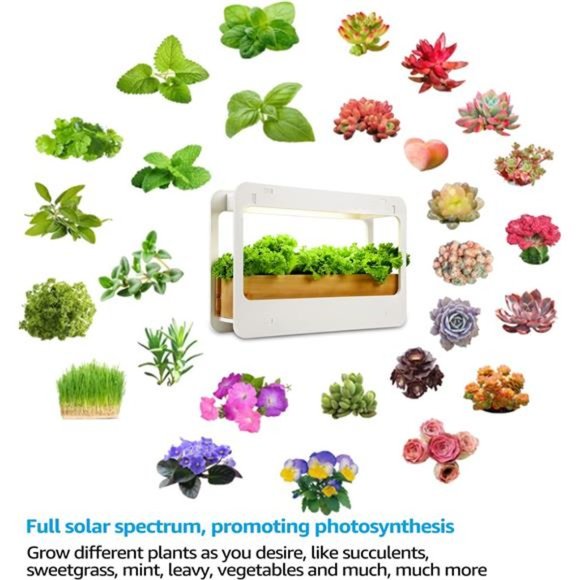 LED Indoor Herb Garden, CRI 95+, Herb Grower Light with Timer, Indoor Gardening - Picture 5 of 5